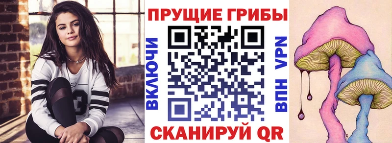 OMG рабочий сайт  как найти   Краснокамск  Псилоцибиновые грибы мухоморы 